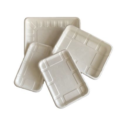 과일 사탕수수 버개스 펄프 결혼 야채 버릴 수 있는 고기 전자 레인지 안전한 트레이