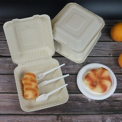800 밀리람베르트 테이크아웃식음식 용기 전자 레인지 안전한 바가스 대합조개 껍질 생일 파티 일회용 플레이트